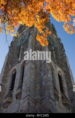 Harkness Turm, Campus der Yale Universität, New Haven, Connecticut, USA. Stockfoto