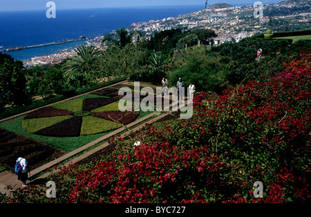 Der Jardim Botânico (Botanischer Garten) in der Nähe von Funchal, auf der atlantischen Insel Madeira Stockfoto