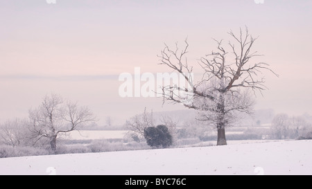 Eine Winterszene teilgenommen an einem Dezember Elmore, Gloucestershire, England UK Stockfoto