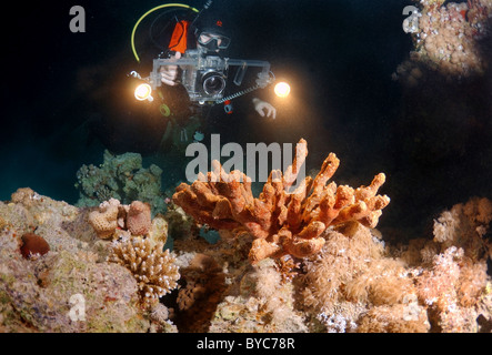 Video - Fahrer schießen Coral Reef in der Nacht Stockfoto