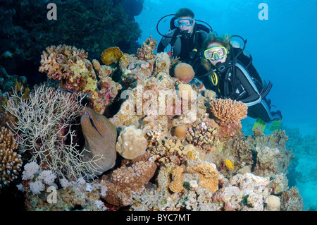 Paar Taucher Blick auf die Mediterrane Moray (muraena Helena), Rotes Meer, Ägypten Stockfoto