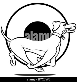 Karikatur von einem Labrador Hund läuft isoliert auf einem weißen Hintergrund. Stockfoto