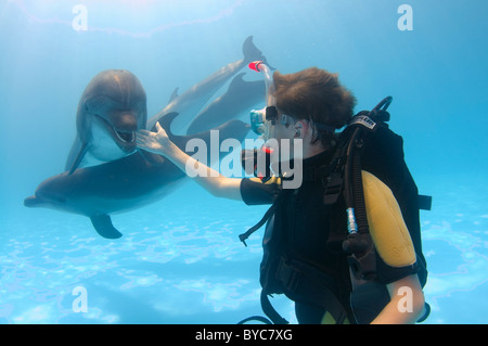 junge Scubadiver und zwei Bottlenose Delphin (Tursiops Truncatus) im delphinarium Stockfoto