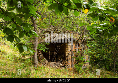 Alte verlassene verfallenen Scheune im Wald Stockfoto