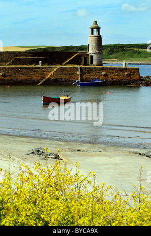 Der Hafen von Port Logan in Dumfries und Galloway, Süd-west-Schottland Stockfoto