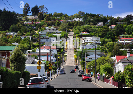 Baldwin Street (steilste Straße der Welt), North East Valley, Dunedin, Otago, Südinsel, Neuseeland Stockfoto