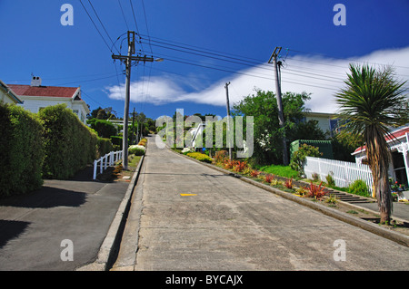 Baldwin Street (steilste Straße der Welt), North East Valley, Dunedin, Otago, Südinsel, Neuseeland Stockfoto