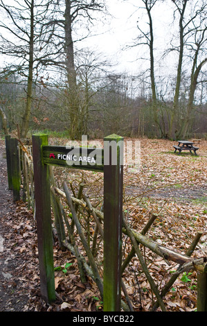 Ein Zeichen für einen Picknick-Platz in Norsey Wäldern in Essex. Stockfoto