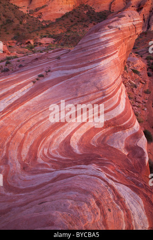 Valley of Fire State Park, Mojave-Wüste, Nevada Stockfoto