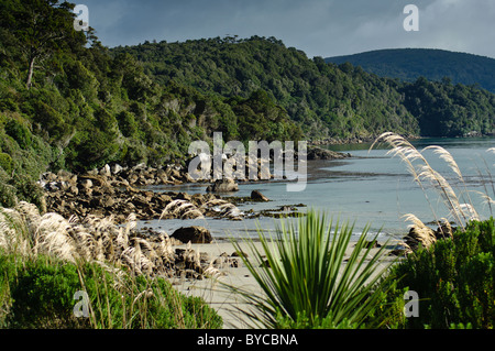 Lee Bay auf Stewart Island, Neuseeland vor dem Sturm Stockfoto