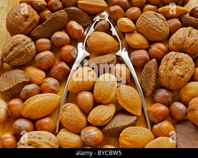 Verschiedene Arten von Nüssen und ein Nussknacker in ihrer Mitte sitzen Stockfoto