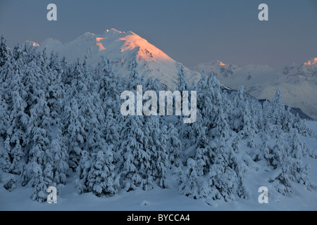 Bäume im Turnagain Pass, Chugach National Forest, Alaska Schnee. Stockfoto