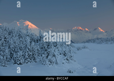 Bäume im Turnagain Pass, Chugach National Forest, Alaska Schnee. Stockfoto