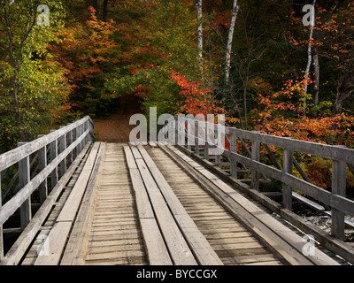 Hölzerne Brücke über einen Fluss. Landschaft Herbst Natur Landschaft. Habichtsbitterkraut Fluss, Algonquin, Muskoka, Ontario, Kanada. Stockfoto