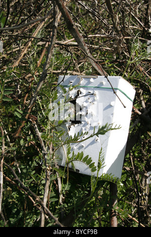 Karton für Scheibenschießen Praxis auf Baum im Land verwendet Stockfoto