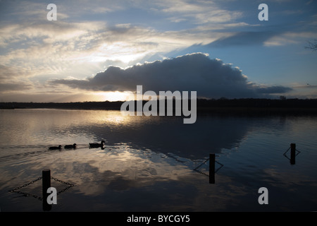 Sonnenuntergang über Rollesby breit, East Norfolk, East Anglia, England Stockfoto