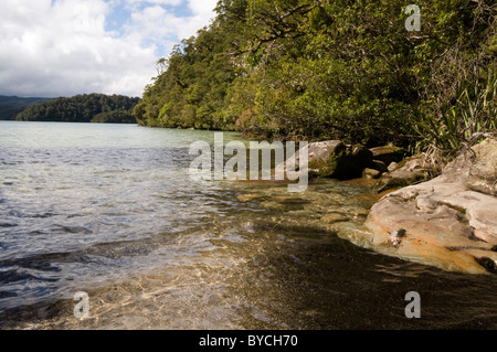 Die Te Urewera Nationalpark entstand Runde eins der letzten verbleibenden im Landesinneren Berg Regenwälder in Neuseeland Stockfoto