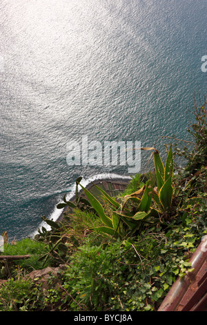 Nach unten gerichtete Blick vom Cabo Girao, Madeira Stockfoto