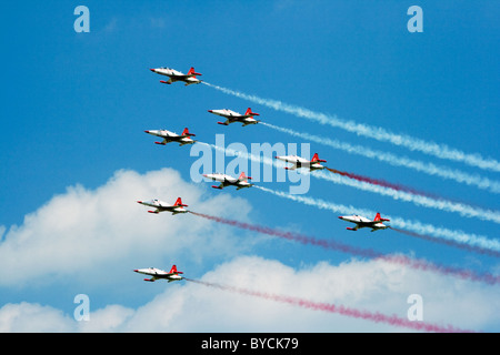 Turkish Stars Demo-team Stockfoto