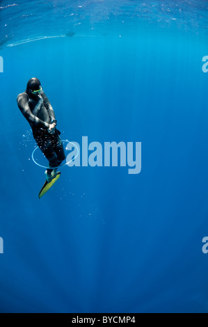 Freediver versucht, schwimmen durch die Luft Blasenring in einer Tiefe von Blue Hole, Dahab, Ägypten Stockfoto