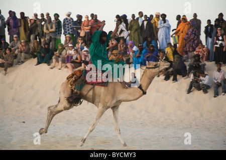 Kamelrennen auf dem Festival in der Wüste, essakane, in der Nähe von Timbuktu, Mali, Westafrika Stockfoto