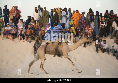 Kamelrennen auf dem Festival in der Wüste, essakane, in der Nähe von Timbuktu, Mali, Westafrika Stockfoto