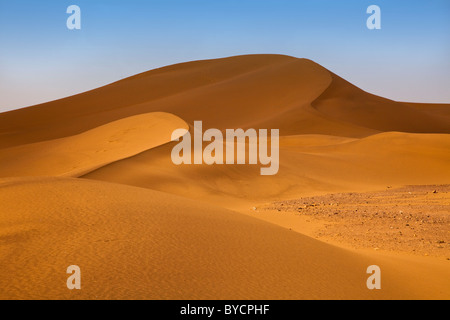 Goldenen Sanddünen in den Dünen von Tinfou in der Nähe von Zagora, Marokko, Nordafrika. Stockfoto