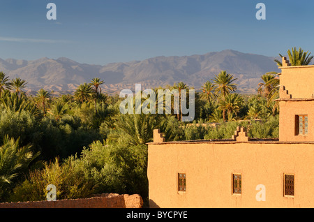 Blick auf den Hohen Atlas und die skoura Palmenoase von Kasbah Ait Ben moro Marokko Stockfoto