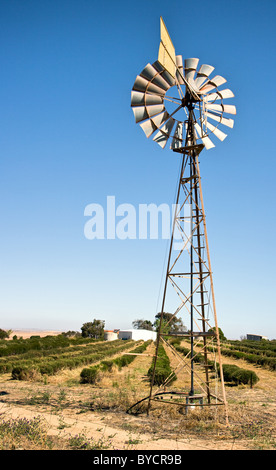 Wind-Pumpe verwendet für die Bewässerung von Pflanzen in West-Australien Stockfoto