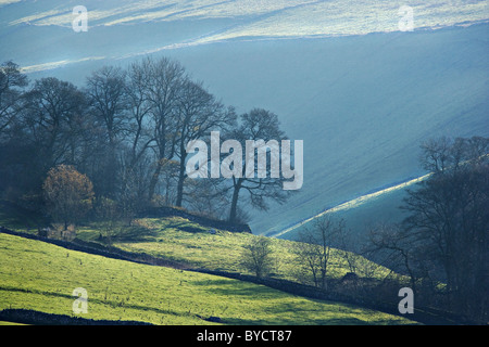 Blick über Wolfscote Dale in das Taube Tal des Derbyshire Peak District Stockfoto