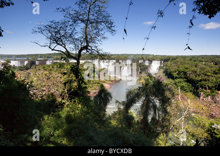 Iguaçu-Wasserfälle von der brasilianischen Seite, Paraná, Brasilien, Südamerika gesehen. Stockfoto