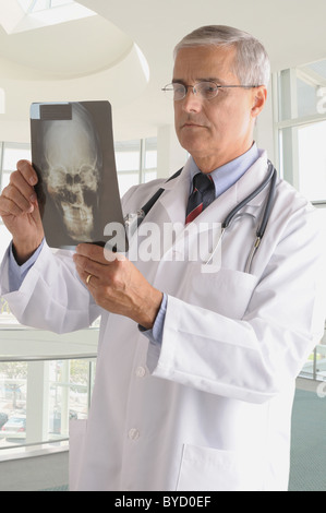 Mittleren Alter Arzt in Laborkittel hält eine Röntgenaufnahme eines menschlichen Schädels. Stockfoto