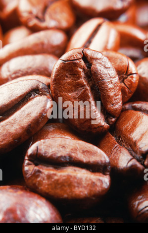Kaffeebohnen, super-Makro, vertikal Stockfoto