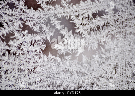 gefrorene Eiskristalle am Fenster Stockfoto