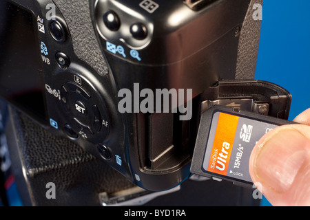 SD-Speichermedien Stockfoto