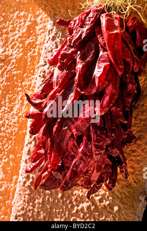 Girlanden Rot-heiße Paprika hängen in einer Gruppe in Santa Fe, New Mexico, Stockfoto