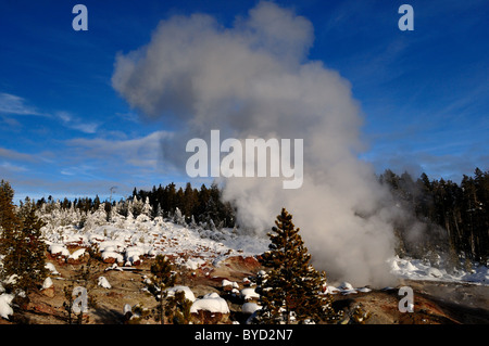 Dampf steigt aus dem Steamboat-Geysir. Yellowstone-Nationalpark, Wyoming, USA. Stockfoto