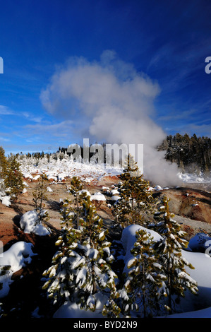 Dampf steigt aus dem Steamboat-Geysir. Yellowstone-Nationalpark, Wyoming, USA. Stockfoto