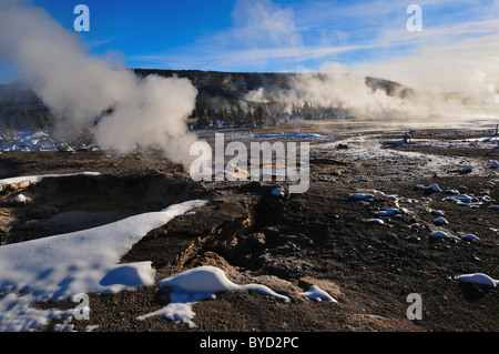 Dampf steigt von Öffnungen bei Norris Geyser Basin. Yellowstone-Nationalpark, Wyoming, USA. Stockfoto