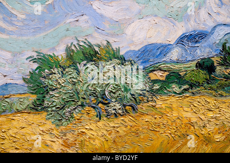 Van Gogh T-Shirt „Weizenfeld Mit Zypressen“ – Kunst-Druck, Uni-Sex, Baumwolle, Weiß