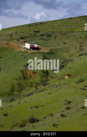 Haus in der Mitte von nirgendwo, karge, baumlose Hügel, Andalusien, Spanien, Europa, europäisch, Spanisch, Andalusien, Andalusien, Stockfoto