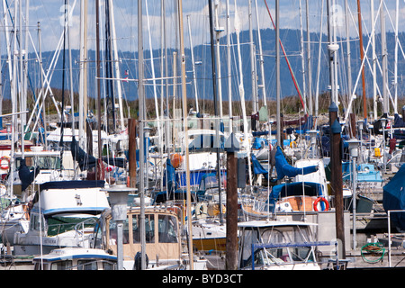 Boote in der Oak Bay Marina in Oak Bay, BC, Kanada. Stockfoto