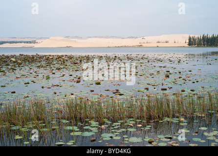 See am Bau Trang, weißen Sanddünen in der Nähe von Mui Ne, Vietnam Stockfoto