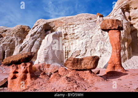 Sandstein-Formationen genannt "Fliegenpilze" unterstützt auf Felsen Spalten in Utahs Grand Staircase-Escalante National Monument. Stockfoto