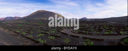 Weinbau-Trockengebieten Landwirtschaft auf Lava, Vulkanlandschaft auf Lanzarote, Kanarische Inseln, Spanien, La Geria, Europa Stockfoto