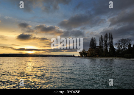Abendstimmung am Ufer des Bodensees, Landkreis Konstanz, Baden-Württemberg, Deutschland, Europa Stockfoto