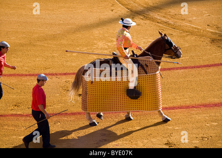 Picador / Picador / Torero / Kampf / Stierkampf in Sevilla Stierkampfarena Plaza de Toros De La Maestranza. Sevilla, Spanien. Stockfoto