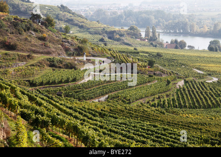 Weinberge und Wanderwege am Loibenberg vor Pfaffenberg und der Donau, Wachau, Waldviertel, Wald Viertel Stockfoto