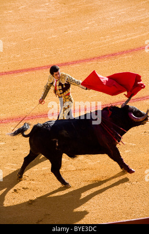 Bull Fighter / Matador / Torero / Kampf / Stierkampf in Sevilla Stierkampfarena Plaza de Toros De La Maestranza. Sevilla, Spanien. Stockfoto