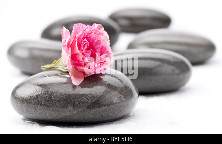 Spa-Steinen mit rose Blume auf einem weißen Hintergrund. Stockfoto